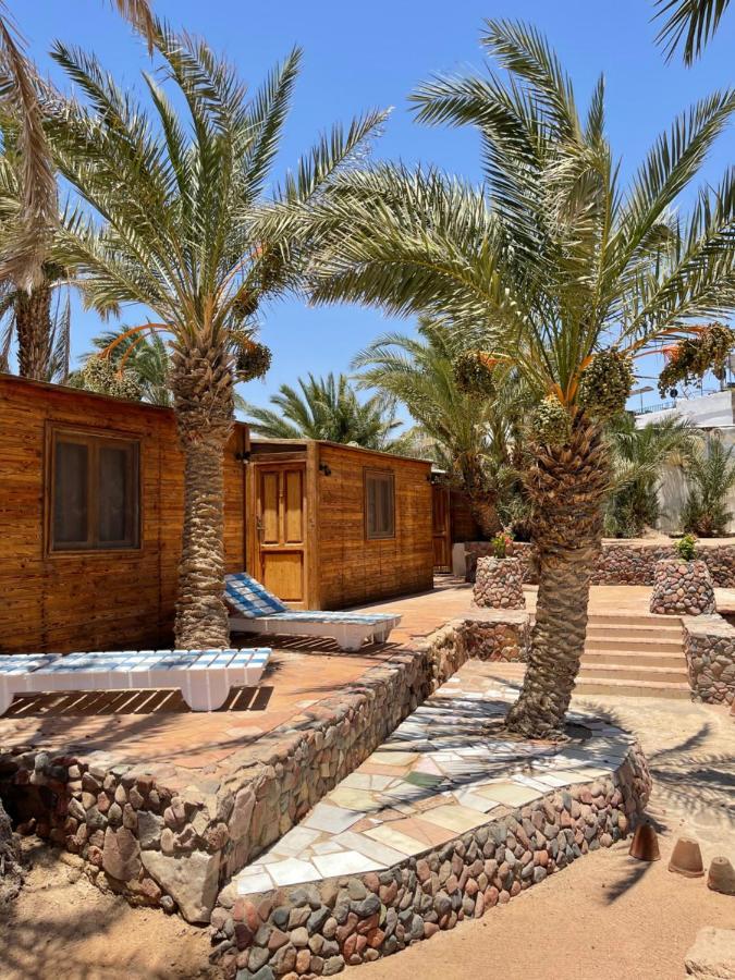 Hotel Dolphin Camp Dahab Exteriér fotografie