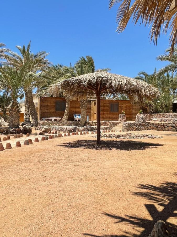 Hotel Dolphin Camp Dahab Exteriér fotografie