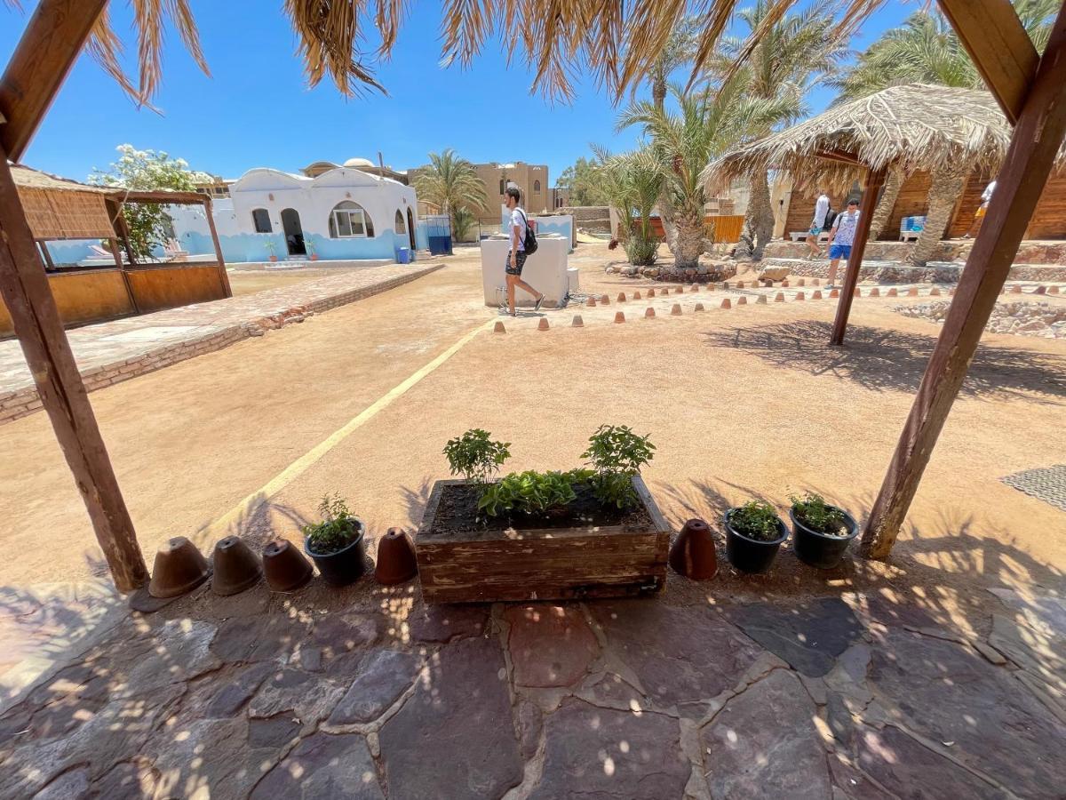 Hotel Dolphin Camp Dahab Exteriér fotografie