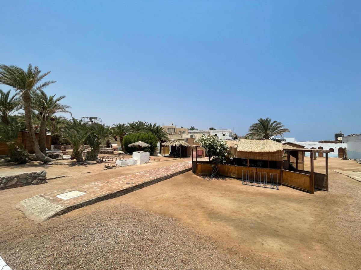 Hotel Dolphin Camp Dahab Exteriér fotografie