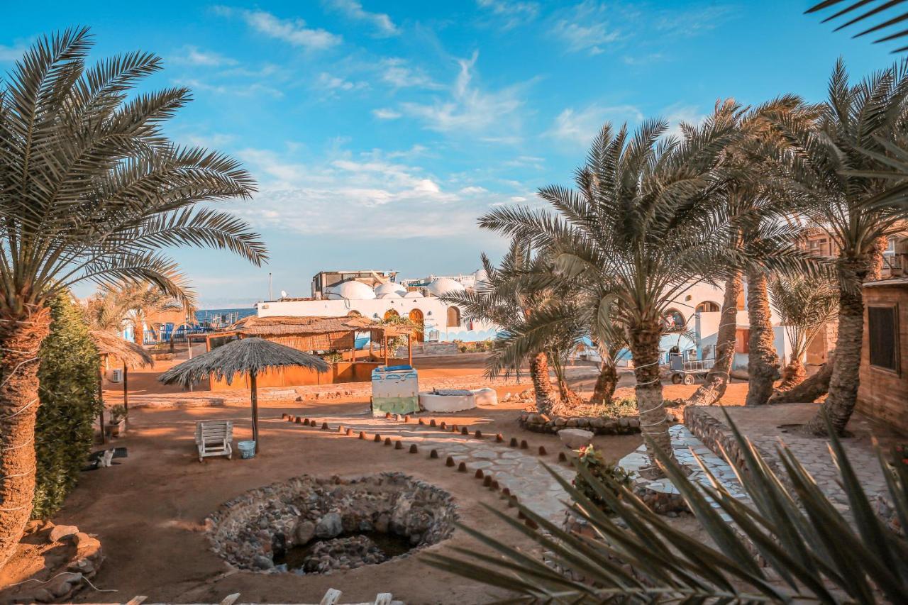 Hotel Dolphin Camp Dahab Exteriér fotografie