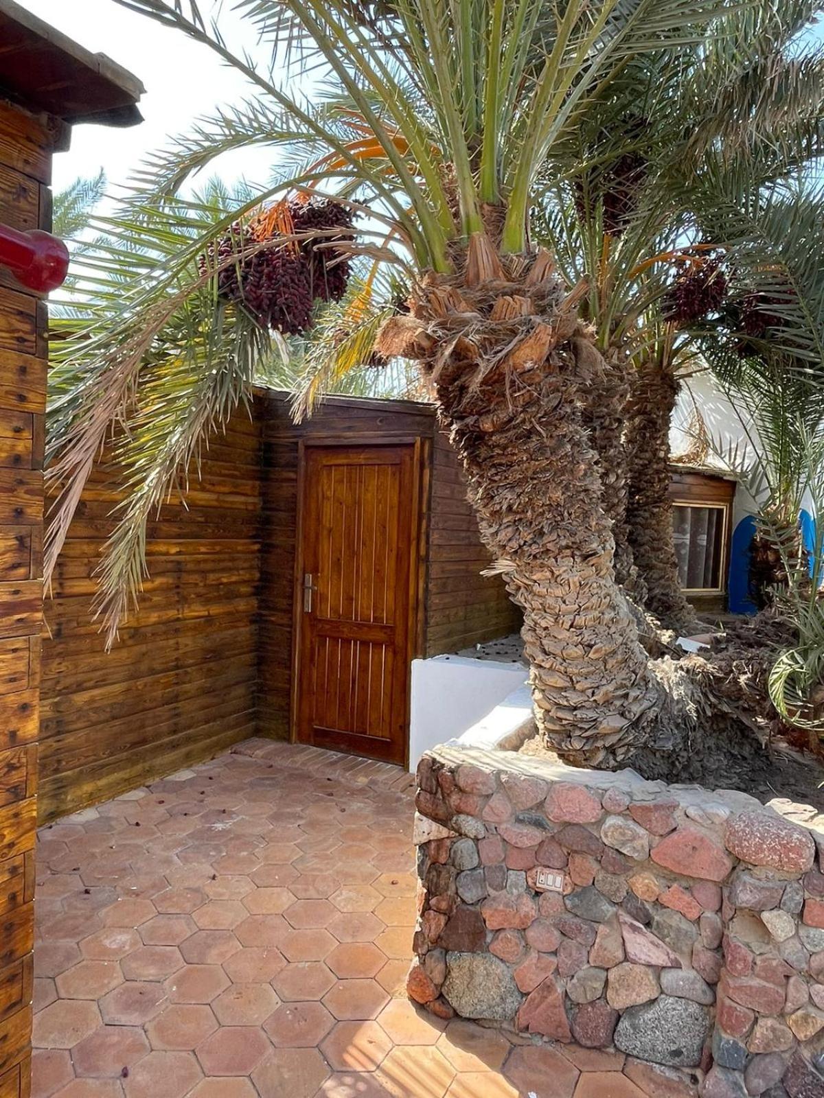 Hotel Dolphin Camp Dahab Exteriér fotografie