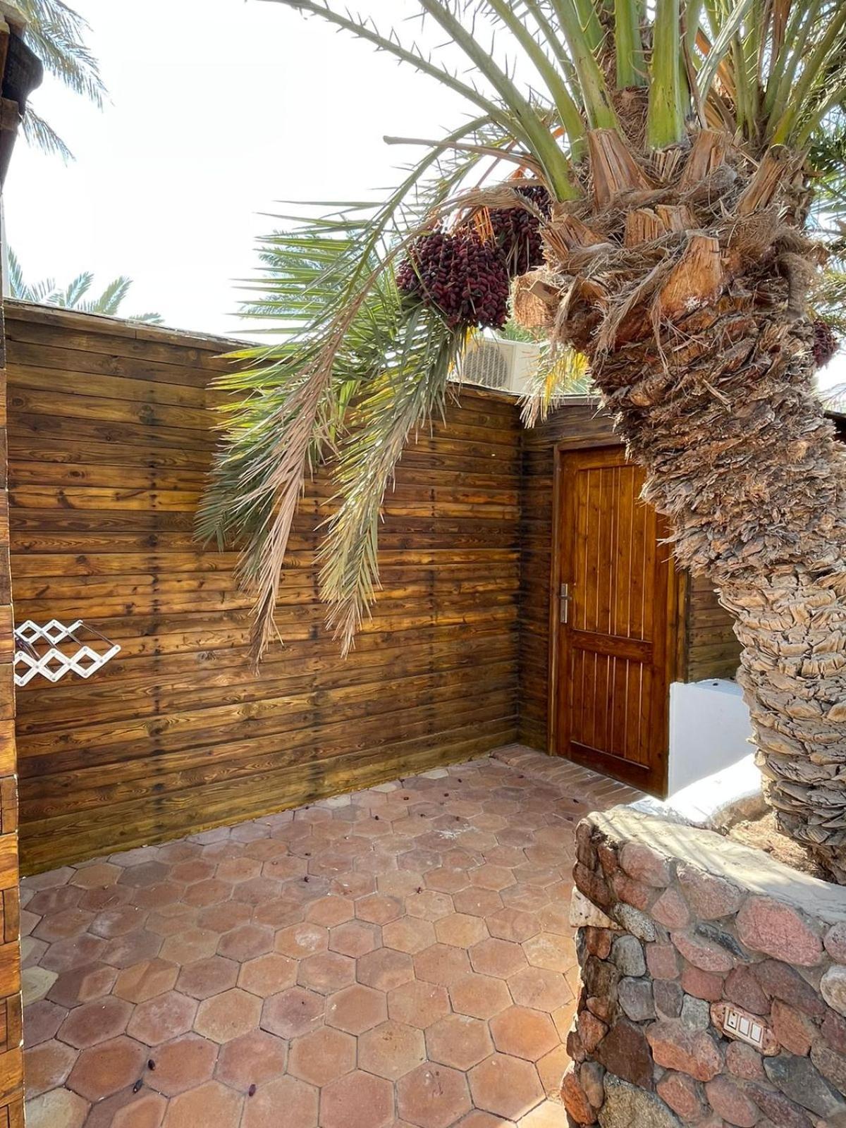 Hotel Dolphin Camp Dahab Exteriér fotografie